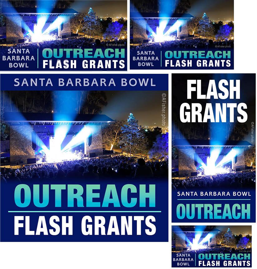 Flash Grants Banners